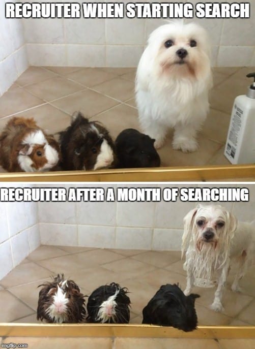 20 Best Memes on What It's Like to be a Recruiter